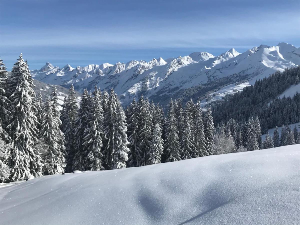 Appartement Lapreski, Spacieux, Proche Lac D'Annecy, Randonnees Montagne Thones Bagian luar foto