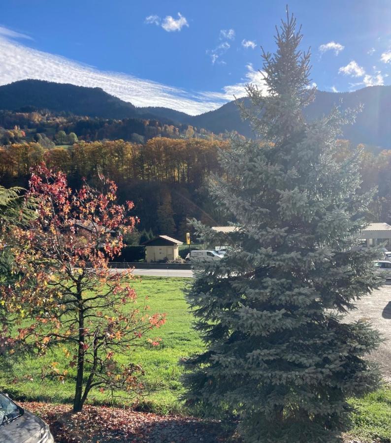 Appartement Lapreski, Spacieux, Proche Lac D'Annecy, Randonnees Montagne Thones Bagian luar foto