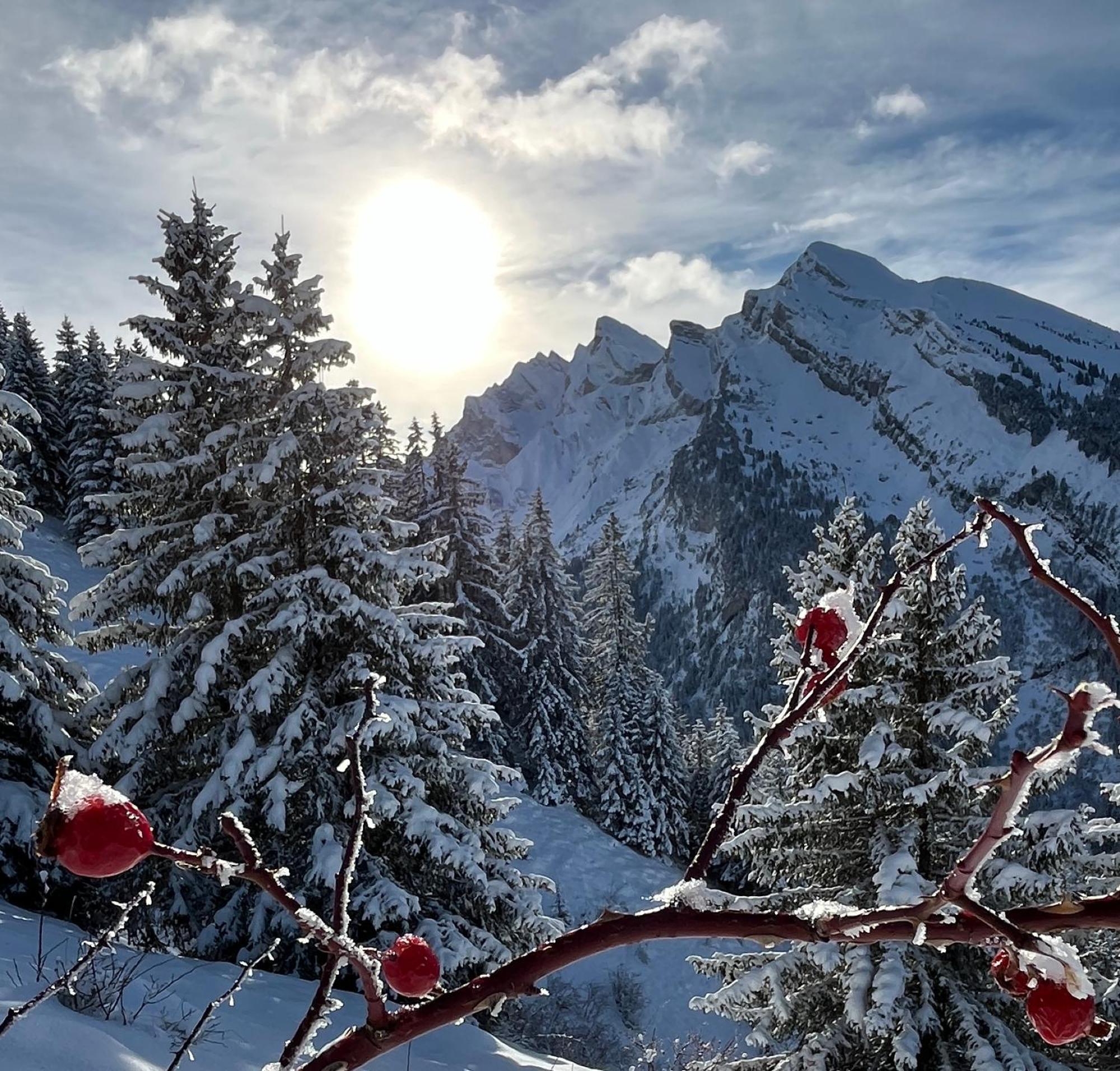 Appartement Lapreski, Spacieux, Proche Lac D'Annecy, Randonnees Montagne Thones Bagian luar foto