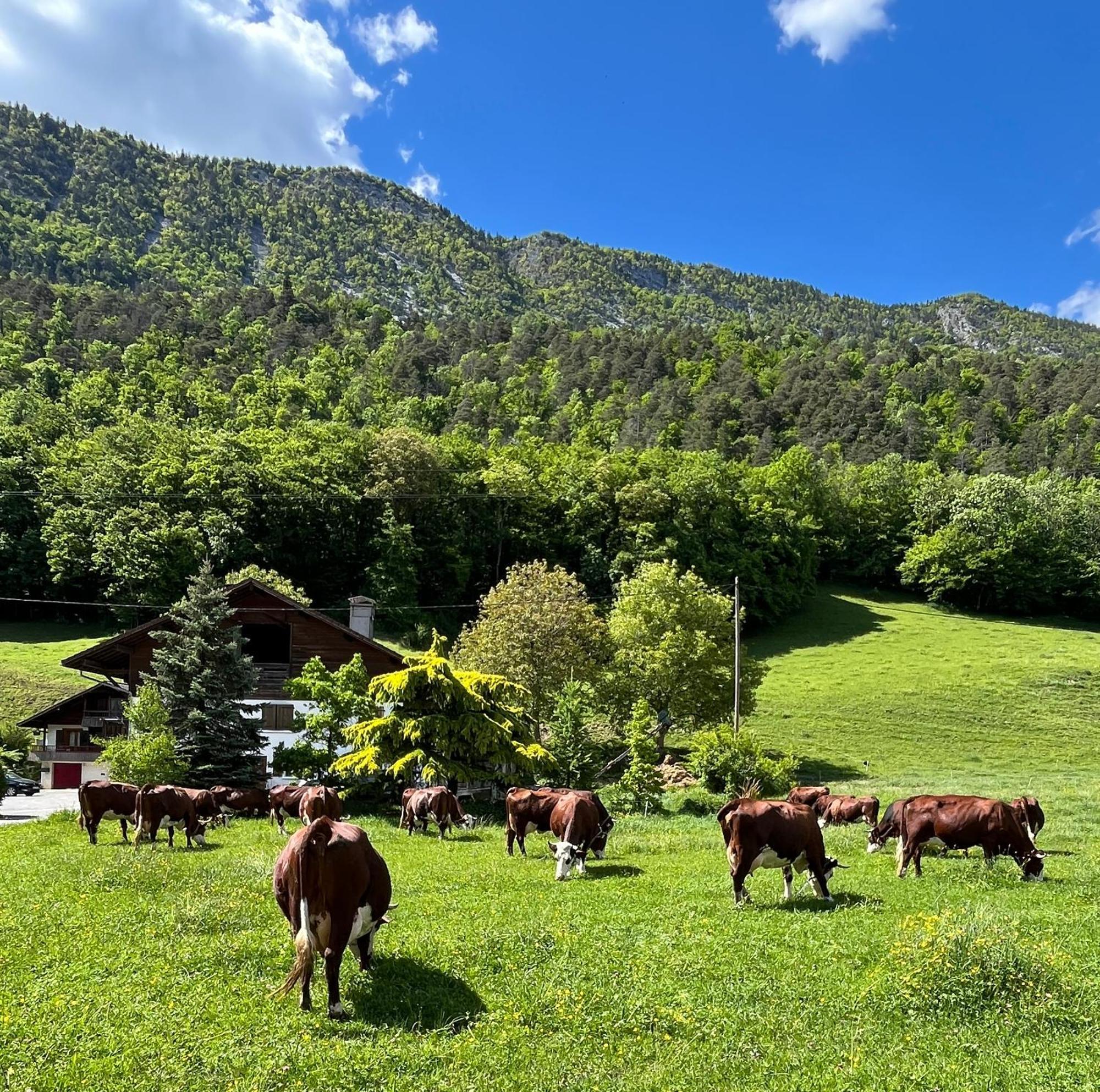 Appartement Lapreski, Spacieux, Proche Lac D'Annecy, Randonnees Montagne Thones Bagian luar foto